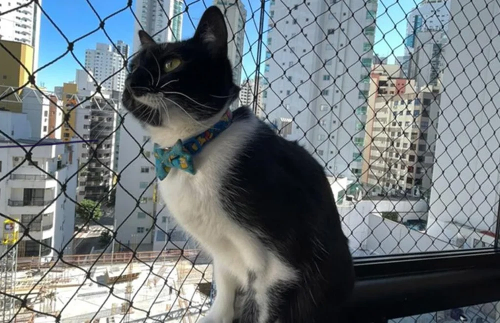 Rede de proteção para proteção para pets apresentada pela Freitas Redes